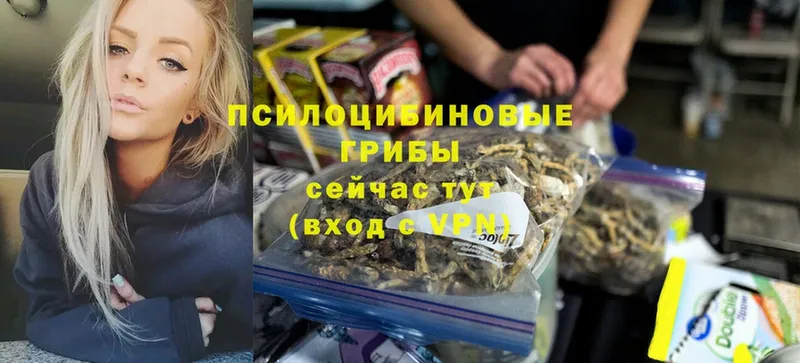 Псилоцибиновые грибы MAGIC MUSHROOMS  гидра онион  Зарайск 